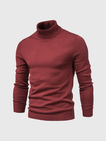 Herren Rollkragenpullover, waschbar