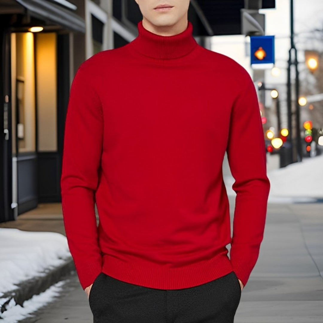 Ronny - Basic Warmer Rollkragenpullover